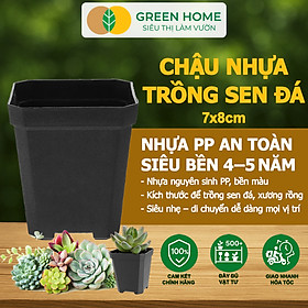Bộ 10 Chậu Nhựa Trồng Sen Đá Greenhome, 7x8cm, Siêu Bền, Đẹp, Đa Năng, Trồng Mọi Loại Cây, Tiết Kiệm Không Gian - 1 CHẬU NHỰA SEN ĐÁ