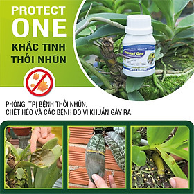 PROTECT ONE – KHẮC TINH CỦA THỐI NHŨN