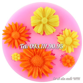 Mua Khuôn rau câu silicon các loại hoa – Mã số 1641