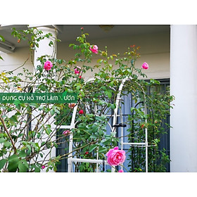 Mua CỔNG CHO HOA LEO RỘNG 120*CAO 225* SÂU 31CM - TRẮNG