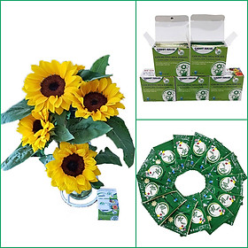 Thuốc cắm hoa Hướng Dương lâu tàn nhập khẩu Israel (Set 50 gói) giúp hoa tươi gấp 2 lần và 14 ngày không thay nước mới