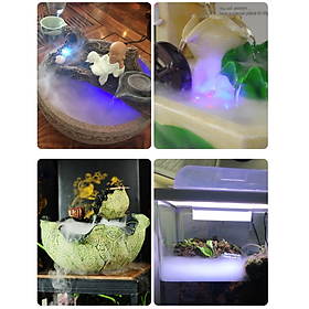 Mua Máy Phun Sương Siêu Âm Đèn Led Trang Trí Tiểu Cảnh Ultrasonic Atomizer Fog - Riki Shop