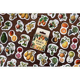 Bộ 45 Sticker Hàn Quốc hình Quả dán trang trí E20