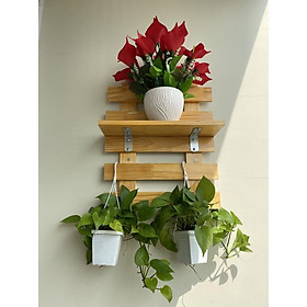 Mua kệ treo cây cảnh trang trí treo tường gỗ thông y hình