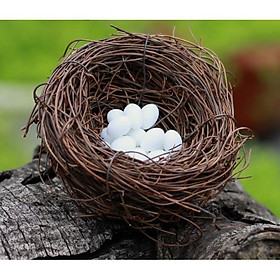 Mua KHO-HN * Mô hình tổ chim  trứng  chim hoàng oanh bằng lông chim tự nhiên trang trí tiểu cảnh  bonsai  DIY