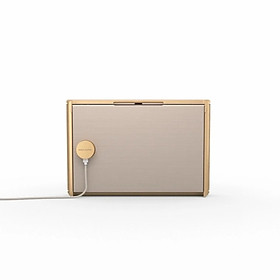 Loa Bang & Olufsen Beosound Level ( HÀNG CHÍNH HÃNG) - NEW 100