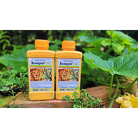 Mua Thuốc trừ sâu cuốn lá  rệp sáp  bọ trĩ Reasgant 3.6EC chai 450 ml (Abamectin 36g/l)