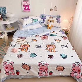 Bộ Chăn Ga Gối Cotton Đũi Bèo 4 Món Chăn đã Chần Hè Mẫu Mới Nhất 2023