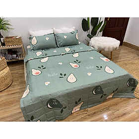 Mua Chăn Hè Lẻ chần bông 3 lớp  Chất Cotton Poly mền mịn  không xù lông  không phai màu  Size 1m8x2m.( không gồm ga gối)