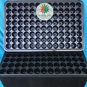 03 Khay ươm/ Vỉ ươm cây giống 104 lỗ, chất liệu nhựa PS hàng đẹp.