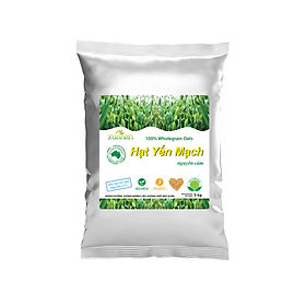 Hạt Yến Mạch Nguyên Cám Úc Xuân An [ko đường] Túi 5Kg[[hạt nguyên chưa cán](Giảm 20%)