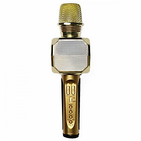 Mua Micro Karaoke Kèm Loa Bluetooth SD10 Có Khe cắm Thẻ nhớ và USB (Tặng kèm USB 4Gb) - Màu ngẫu nhiên