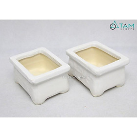 COMBO 2 Chậu gốm trắng nhỏ trồng cây hình chữ nhật CE-CGMN-01