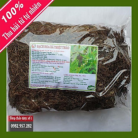Mua Cây bạch hoa xà thiệt thảo - Khô 500gr