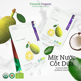 Mít sấy cốt dừa hữu cơ Vinamit 80g