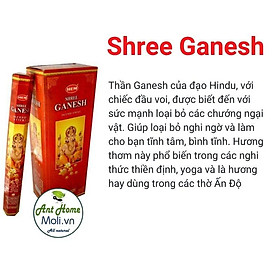 50 LOẠI Nhang hương HEM Thanh tẩy - Làm Sạch Nhà Cửa & Bảo Vệ Sức Khỏe (1 Hộp 20 thanh/que)