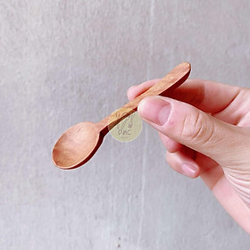 Mua Thìa   muỗng   nĩa gỗ nhỏ múc gia vị  decor   uống cà phê  ăn sữa chua   tráng miệng  đa dụng đẹp mắt