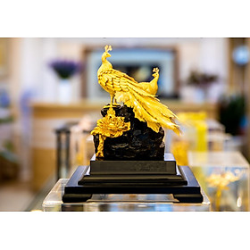 Mua Tượng Đôi Chim Công Dát Vàng 24K (M02) MT Gold Art Hàng chính hãng  trang trí nhà cửa  phòng làm việc  quà tặng sếp  đối tác  khách hàng  tân gia  khai trương