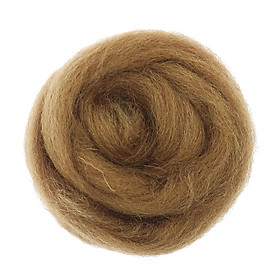 1 Piece 10g Soft Wool Roving Felting Wool for DIY Needle Felting Craft Materials