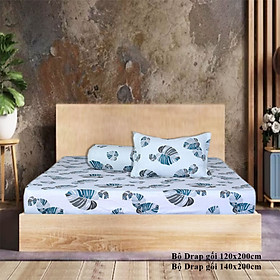 Bộ Drap Gối Cotton Hoa Thắng Lợi mẫu 4 - Chính hãng