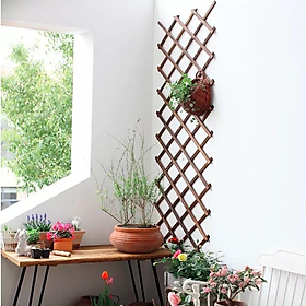 Mua Hàng rào gỗ hình quả trám trang trí ban công  sân vườn có thể thu gọn hỗ trợ trồng cây dây leo