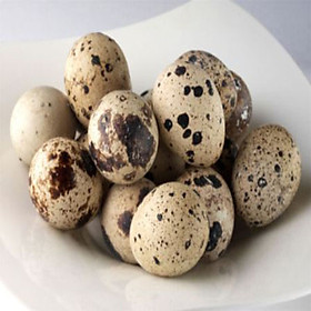 Trứng chim cút - 10 quả