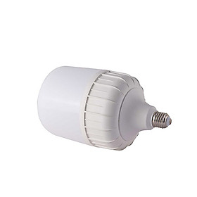 Bóng đèn LED Bulb Trụ  Rạng Đông Model: LED TR100N1/30W SS