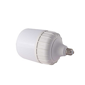 Bóng đèn led bulb trụ rạng đông model: led tr100n1/30w ss