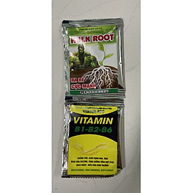 Bộ kích rễ Hulk root và vitamin b1 B3 B6 gói 10 ml chăm sóc hoa lan cây cảnh