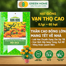 Mua Hạt Giống Hoa Vạn Thọ Cao Nhiều Màu GreenHome  Gói 0 1g~60 hạt  Dễ Trồng Quanh Năm  Hoa To H20