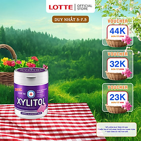 Hình ảnh Kẹo Gum không đường Lotte Xylitol - Hương Blueberry Mint 130,5 g