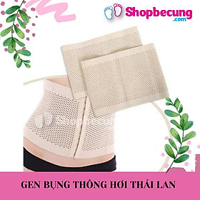 GEN BỤNG THÔNG HƠI THÁI LAN
