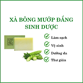 Xà bông mướp đắng Sinh dược - 100g/ bánh