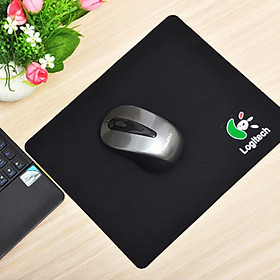 Mua Lót Chuột  Bần Di Chuột