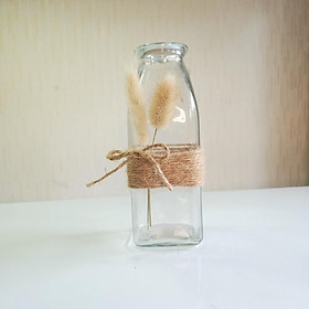 Mua Bình bông lọ cắm hoa khô thủy tinh tam giác vuông tròn thắt eo decor phòng trang trí bàn