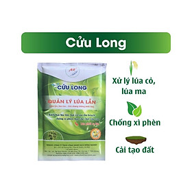 Xử lý hạt lúa lộn, lúa 2 tầng, hạt cỏ sau thu hoạch, chống xì phèn