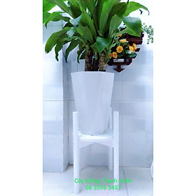 Kệ Giá Gỗ Để Chậu Hoa/Đôn Gỗ Để Chậu Hoa Cây Cảnh Để Bàn Trang Trí Kích Thước Cao 40cm x Rộng 31cm, lọt lòng chậu 26cm - Trắng