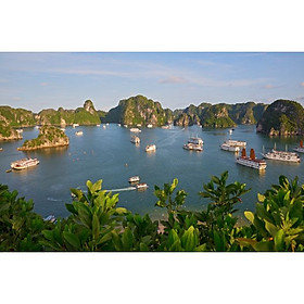 Giấy dán tường - B53