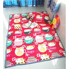 Nệm cuộn 1m6-1m8-nệm trải đa năng - topper mỏng 2-3cm