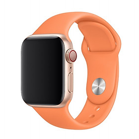 Dây đeo silicon màu dành cho Apple Watch 38mm / 40mm / 42mm / 44mm
