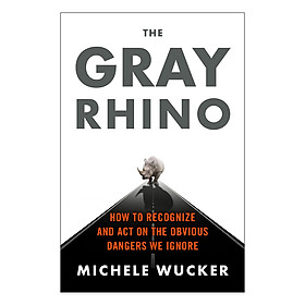 The Gray Rhino