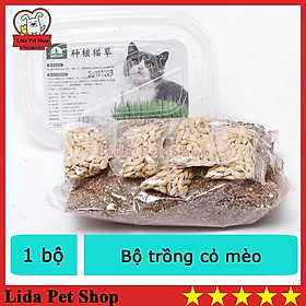 Bộ trồng cỏ lúa mạch tươi cho mèo giúp kích thích tiêu hóa vàxử lý búi lông trong ruột mèo hộp 100g