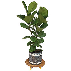 Mua Đế chậu cây có bánh xe Tròn R40 (chịu lực 200kg)