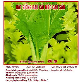 Mua Hạt giống cải mèo
