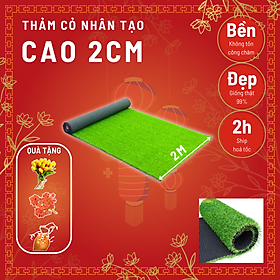Mua Thảm cỏ nhân tạo sân chơi cao cấp   hàng chuẩn 2cm