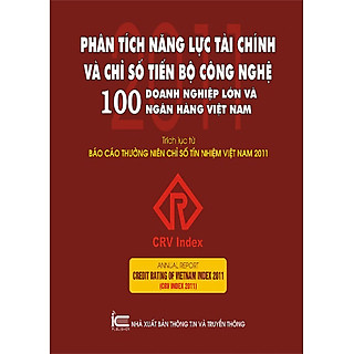 Phân Tích Năng Lực Tài Chính Và Chỉ Số Tiến Bộ Công Nghệ - 100 Doanh Nghiệp Lớn Và Ngân Hàng Việt Nam