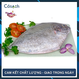 Cá chim biển đen làm sạch - CKFoods - 400 g - 500 g
