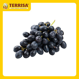 Nho Mỹ Đen Autumn Royal