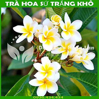 Trà hoa sứ trắng khô sạch đóng gói 1kg