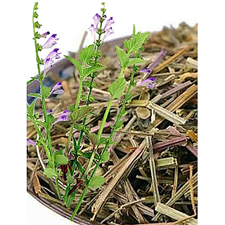 Trà Cây bán chi liên ( Cây bán chi liên khô ) - Sản phẩm sạch đạt chuẩn ATTP